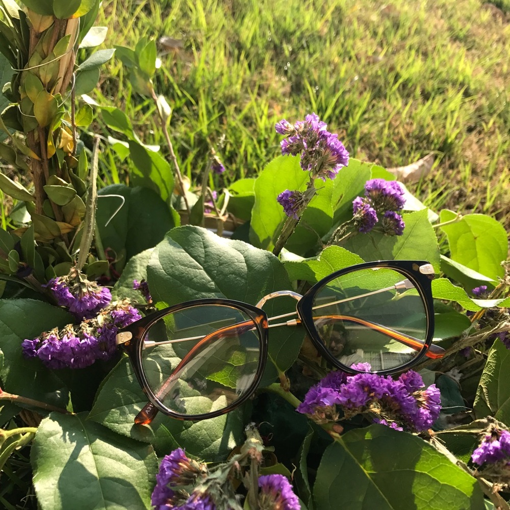 New! Tortois boho glasses